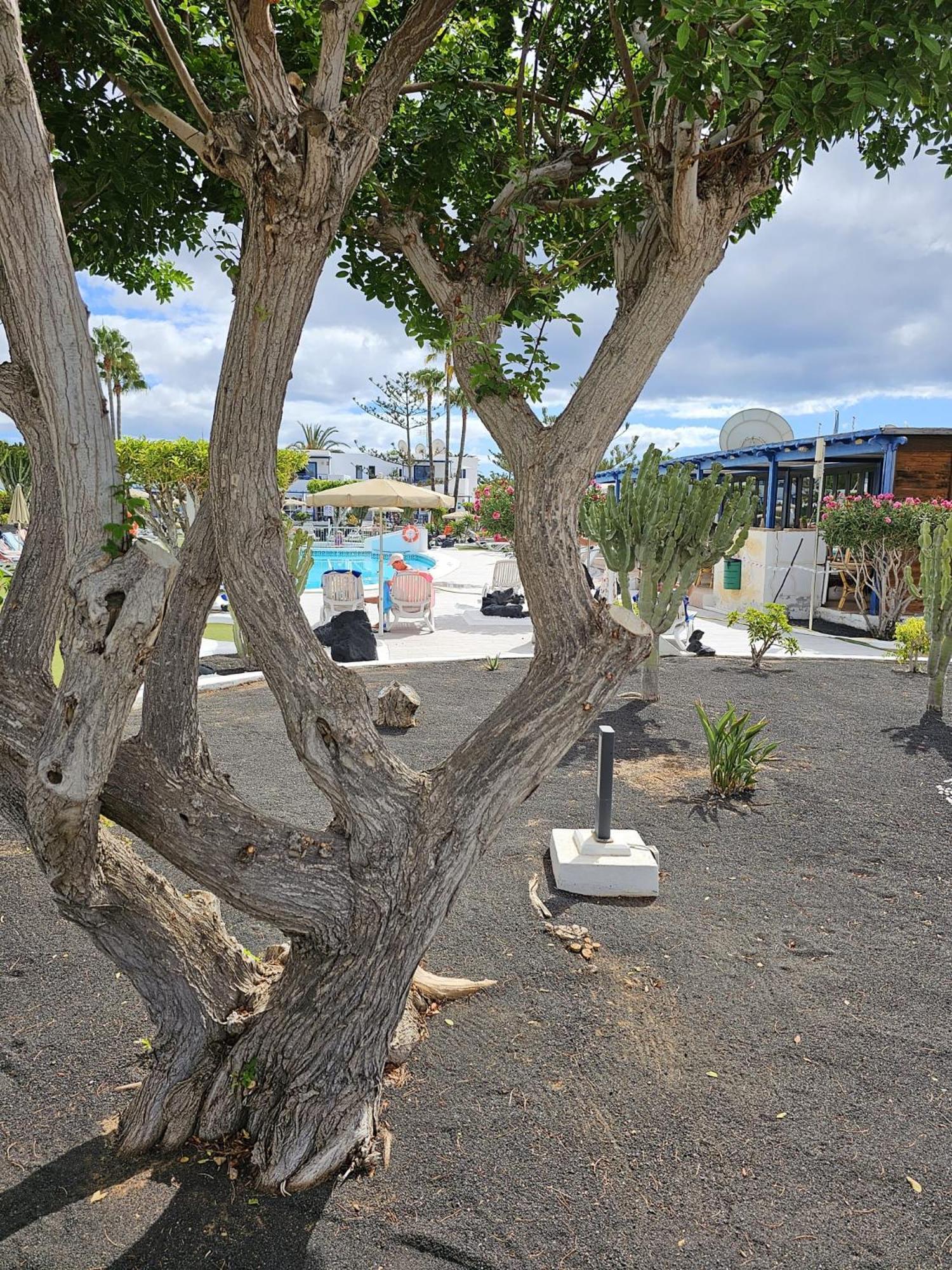 Apartament Juma Holidays Puerto del Carmen (Lanzarote)